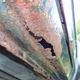 Image for article titled Here's What's Wrong With My $500 Low-Mileage Jeep Cherokee